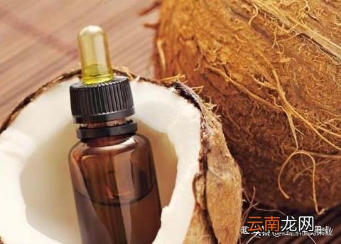 分析椰子油的四大作用 椰子油的功效与作用