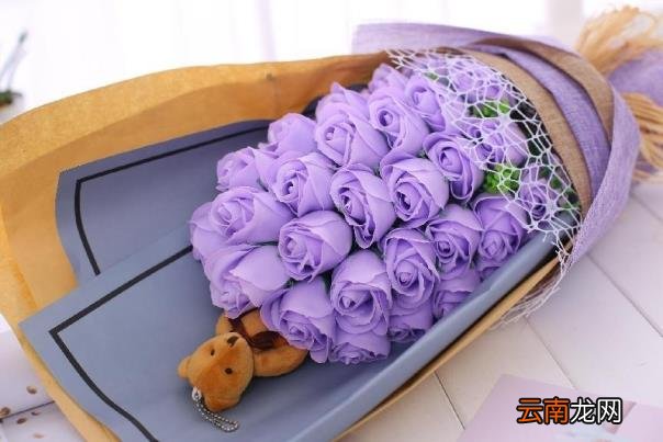 紫玫瑰花语紫玫瑰花语是什么