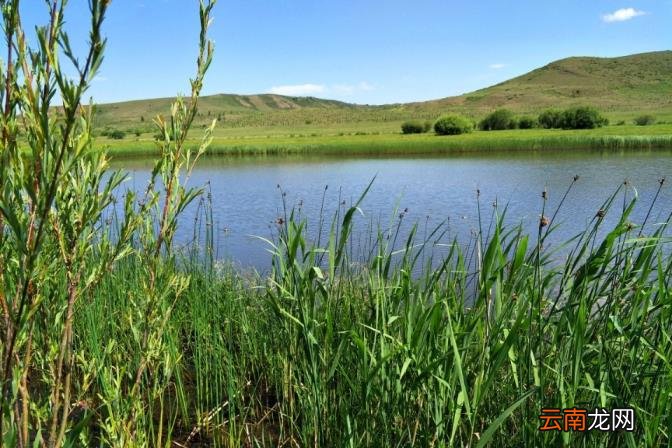 瀛怎么读文字瀛怎么读