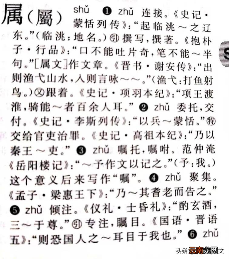 髯怎么读髯读法