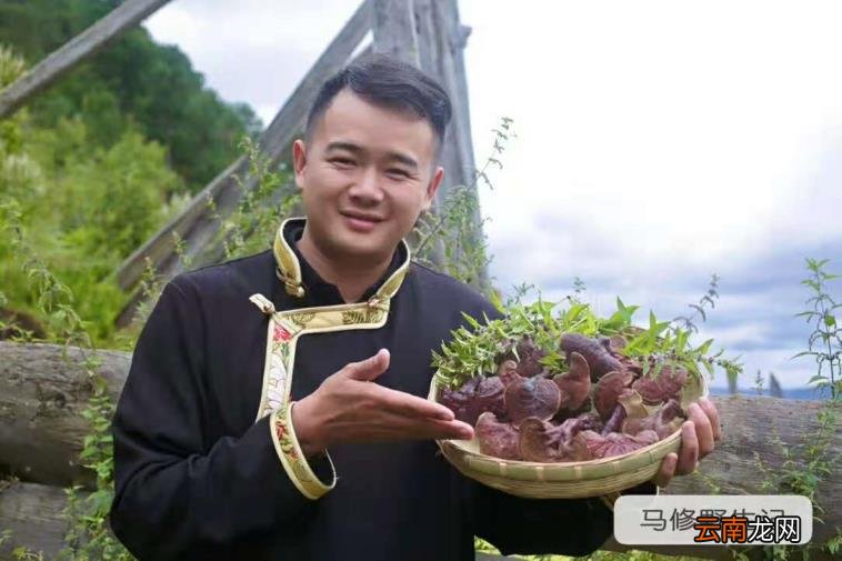 灵芝怎么吃效果最好灵芝怎么吃介绍