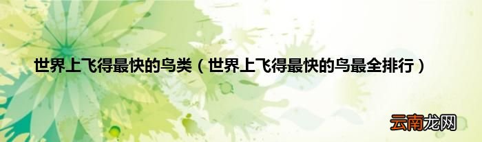 世界上飞得最快的鸟最全排行 世界上飞得最快的鸟类