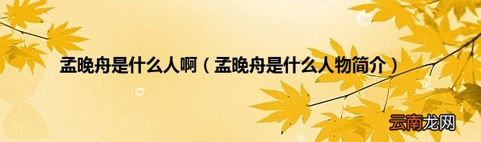 孟晚舟是什么人物简介 孟晚舟是什么人啊