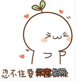火鸡面的神仙吃法 火鸡面的家常做法