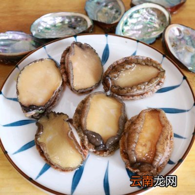 方便简单家常菜红烧鲍鱼 红烧鲍鱼的家常做法