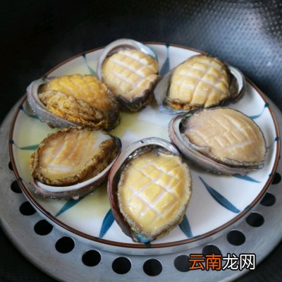 方便简单家常菜红烧鲍鱼 红烧鲍鱼的家常做法