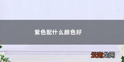 紫色配什么颜色好看 衣服 紫色配什么颜色好看