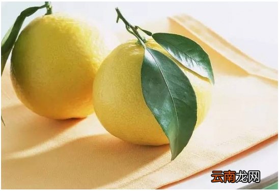 吃柚子的好处竟然这么多 柚子的功效与作用