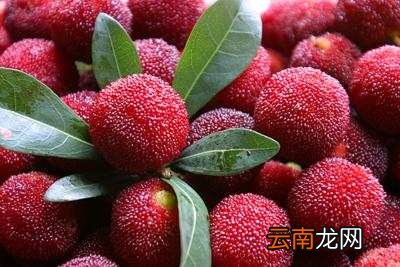 吃杨梅有什么好处 杨梅的功效与作用