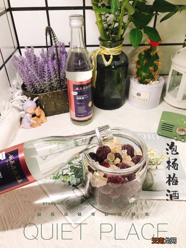 教你如何用杨梅泡酒 杨梅酒的制作方法步骤