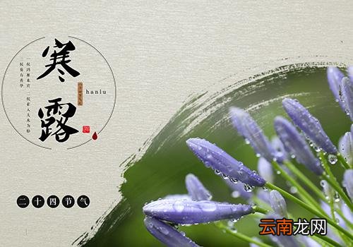 寒露是什么季节,寒露种麦正当时
