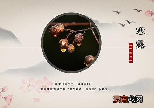 寒露是什么季节,寒露种麦正当时