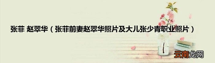 张菲前妻赵翠华照片及大儿张少青职业照片 张菲 赵翠华