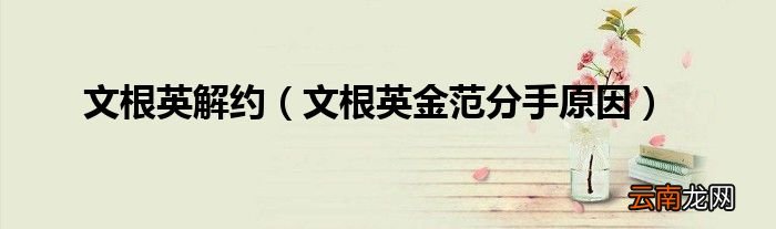 文根英金范分手原因 文根英解约