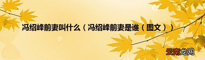 冯绍峰前妻是谁（图文 冯绍峰前妻叫什么）