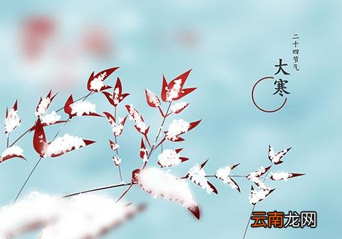 大寒是不是最冷的时候,立春了是不是不冷了