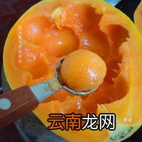 木瓜炖奶的做法步骤 木瓜牛奶的做法