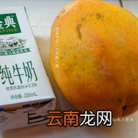 木瓜炖奶的做法步骤 木瓜牛奶的做法