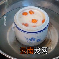 木瓜炖奶的做法步骤 木瓜牛奶的做法