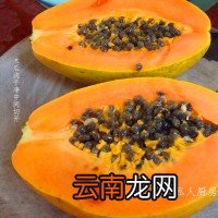 木瓜炖奶的做法步骤 木瓜牛奶的做法