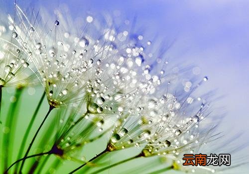 寒露是什么意思啊,2018年寒露是几月几号