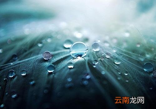 寒露是什么意思啊,2018年寒露是几月几号