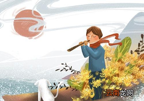 重阳节插茱萸的意思,重阳节茱萸插在哪里