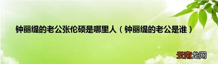 钟丽缇的老公是谁 钟丽缇的老公张伦硕是哪里人