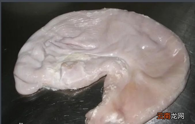 暖胃的胡椒猪肚汤 胡椒猪肚汤的家常做法