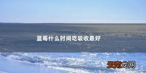 蓝莓什么时候吃最好 食用蓝莓的好处是 蓝莓什么时间吃吸收最好