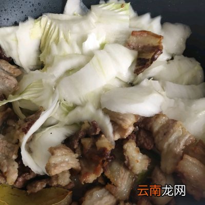 五花肉炖粉条你这么做 经典猪肉炖粉条的家常做法