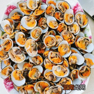 清煮毛蚶这么做最好吃 毛蚶的做法
