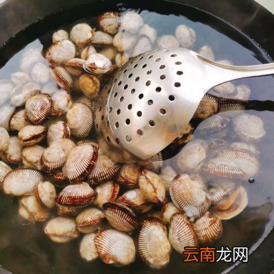 清煮毛蚶这么做最好吃 毛蚶的做法