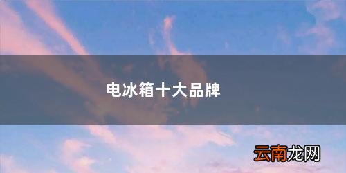 国产电冰箱十大排名品牌排行榜 电冰箱十大品牌