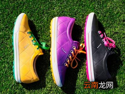 高尔夫球鞋需要达到哪些标准