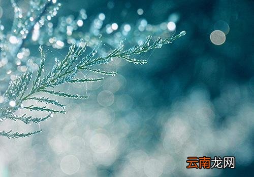 寒露不露脚,寒露气温多少度