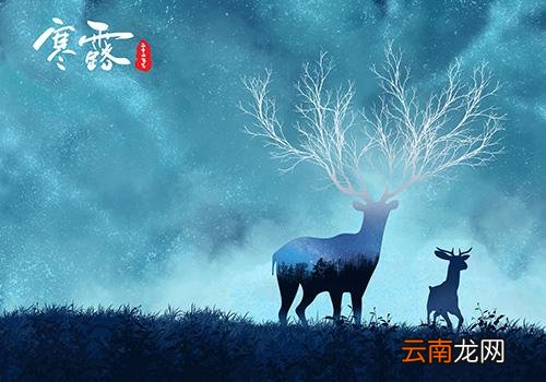 寒露不露脚,寒露气温多少度