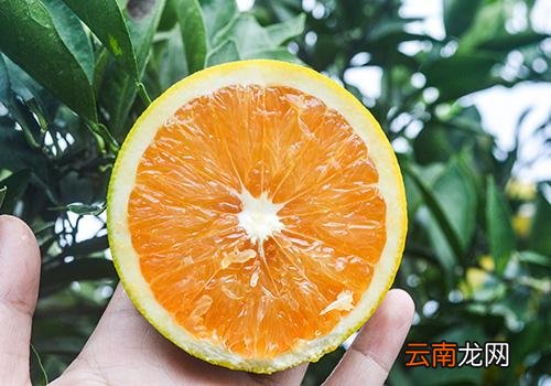 橘子汁能洗掉吗,橘子汁容易洗掉吗