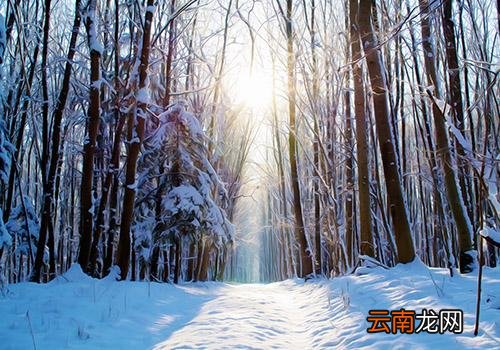 大雪节气会下雪吗,大雪节气人们要做什么
