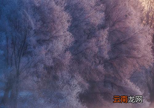 什么时候小雪,小雪节气的天气特点