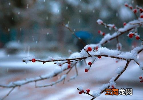 什么时候小雪,小雪节气的天气特点