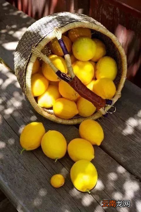 柠檬功能大全 柠檬的功效与作用