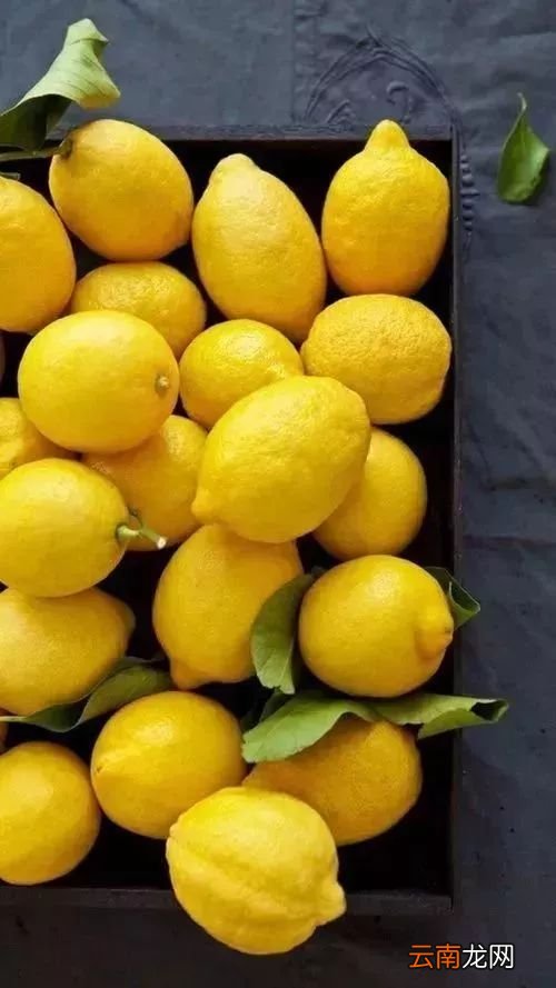 柠檬功能大全 柠檬的功效与作用