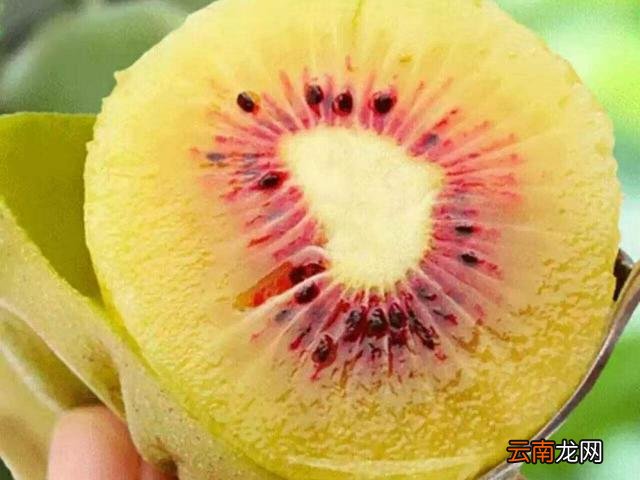 4种人千万别吃 猕猴桃是热性还是凉性