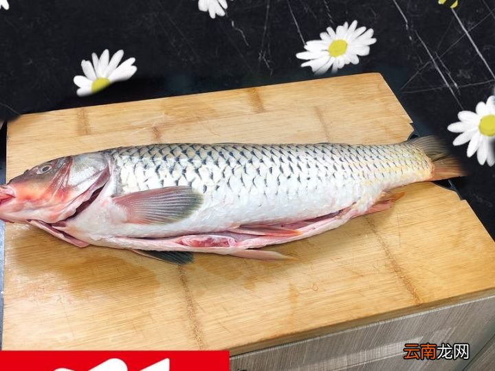 糖醋鲤鱼的做法 糖醋鲤鱼的家常做法