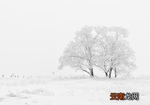 立冬和冬至是一天吗,什么是冬至