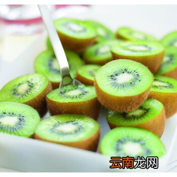 猕猴桃食谱减肥法 猕猴桃可以减肥吗