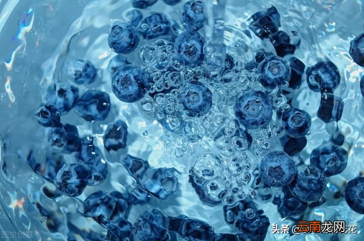 蓝莓的正确清洗方法 蓝莓怎么洗才干净