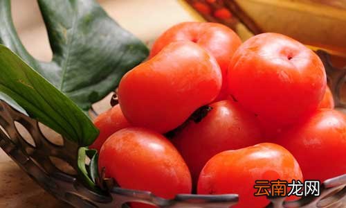 一文告诉你吃柿子的12个禁忌 吃柿子的12个禁忌