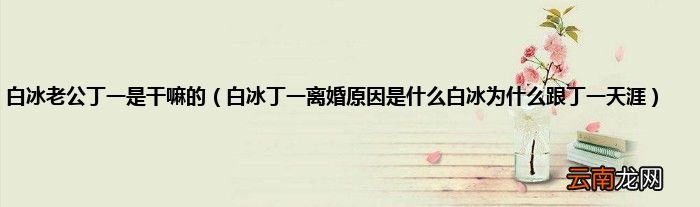 白冰丁一离婚原因是什么白冰为什么跟丁一天涯 白冰老公丁一是干嘛的